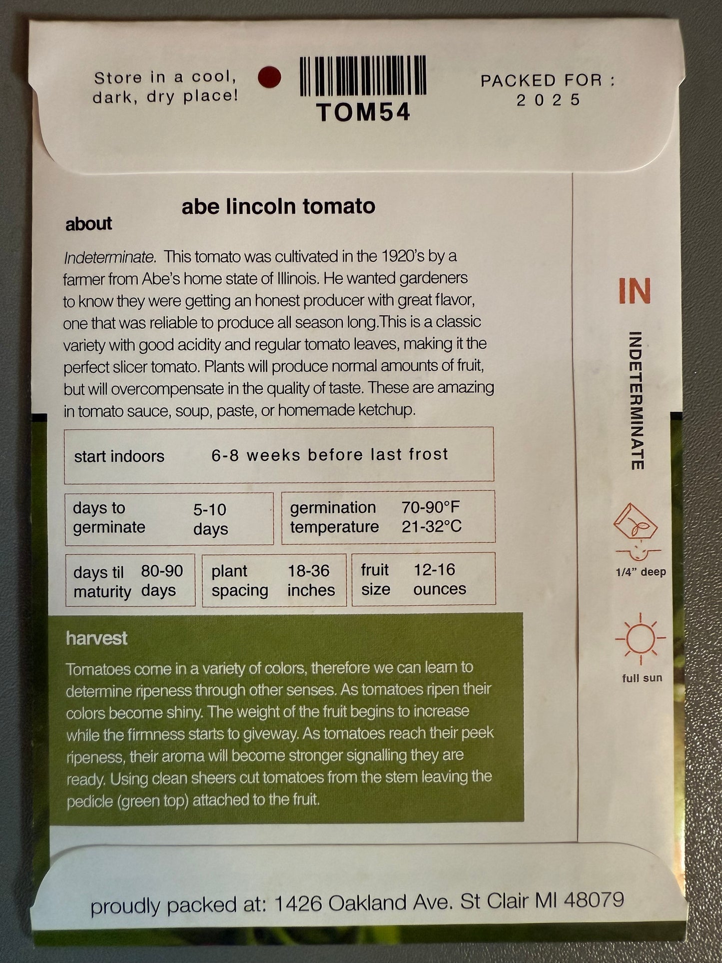 Abe Lincoln Tomato Start