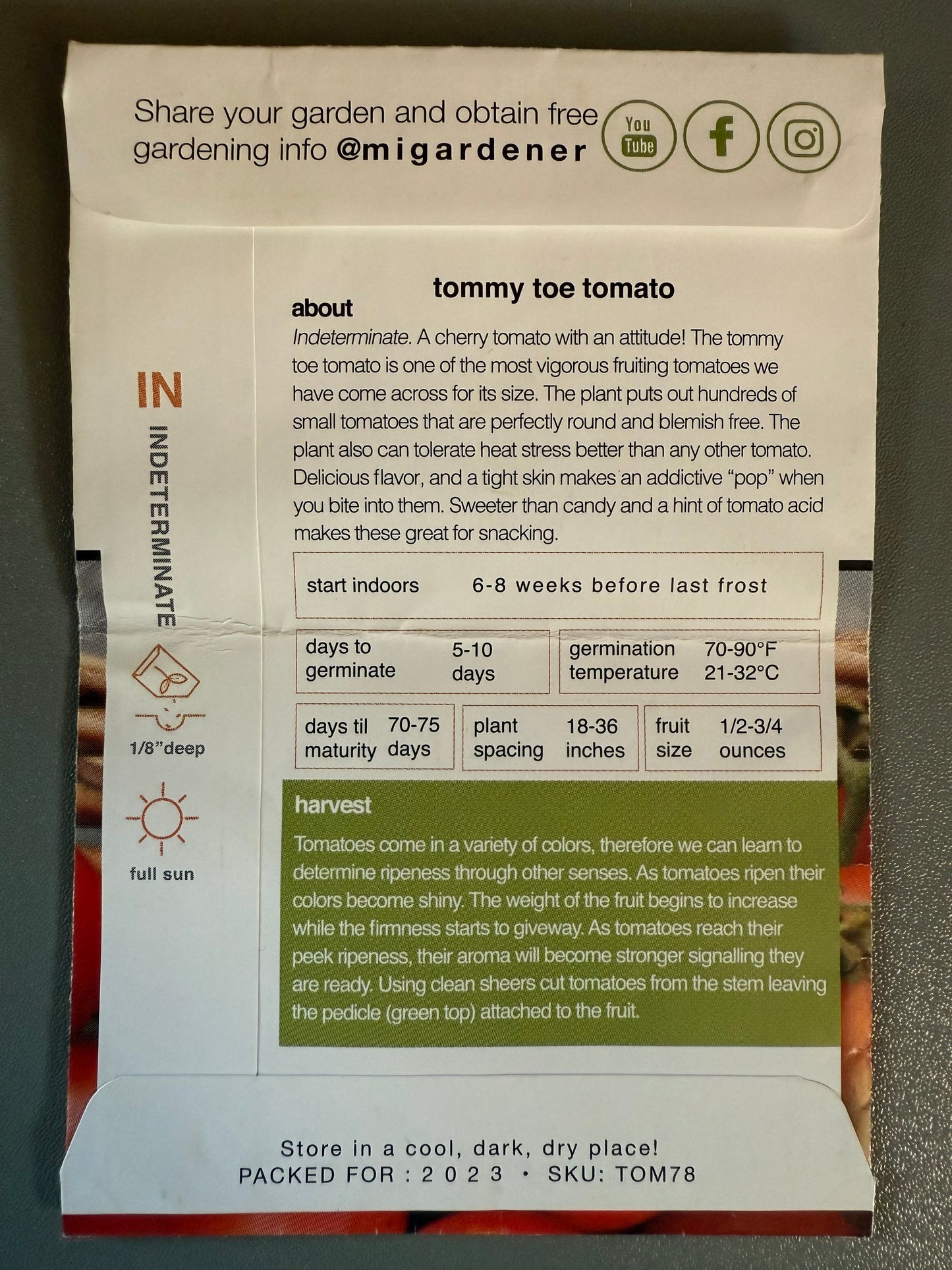 Tommy Toe Tomato Start