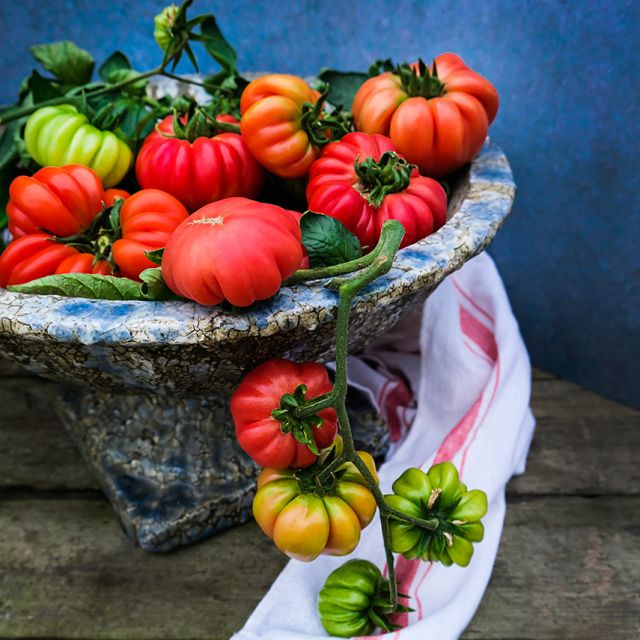 Mushroom Basket Tomato Start