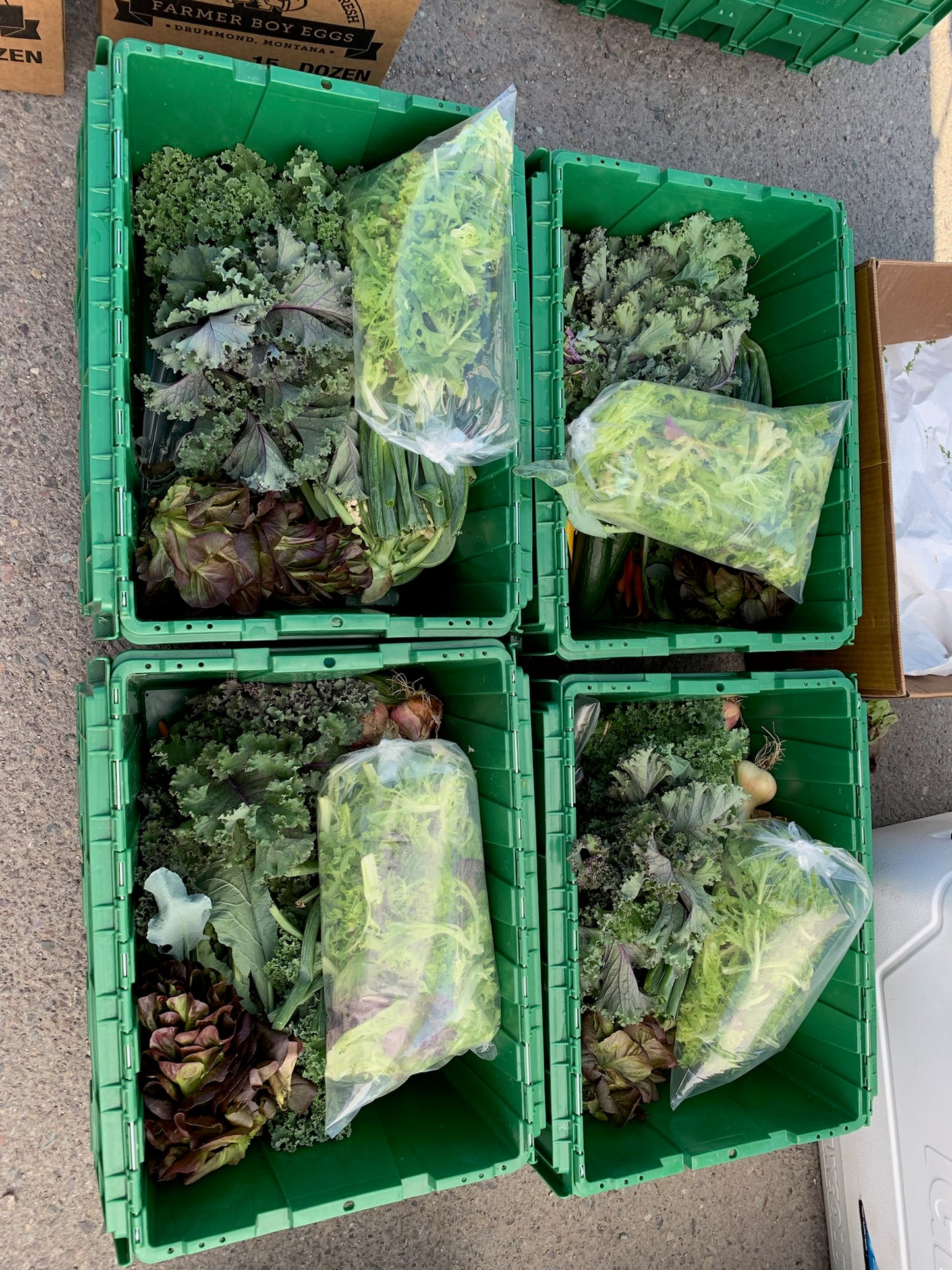 Help a neighbor - Large Share - payment plan