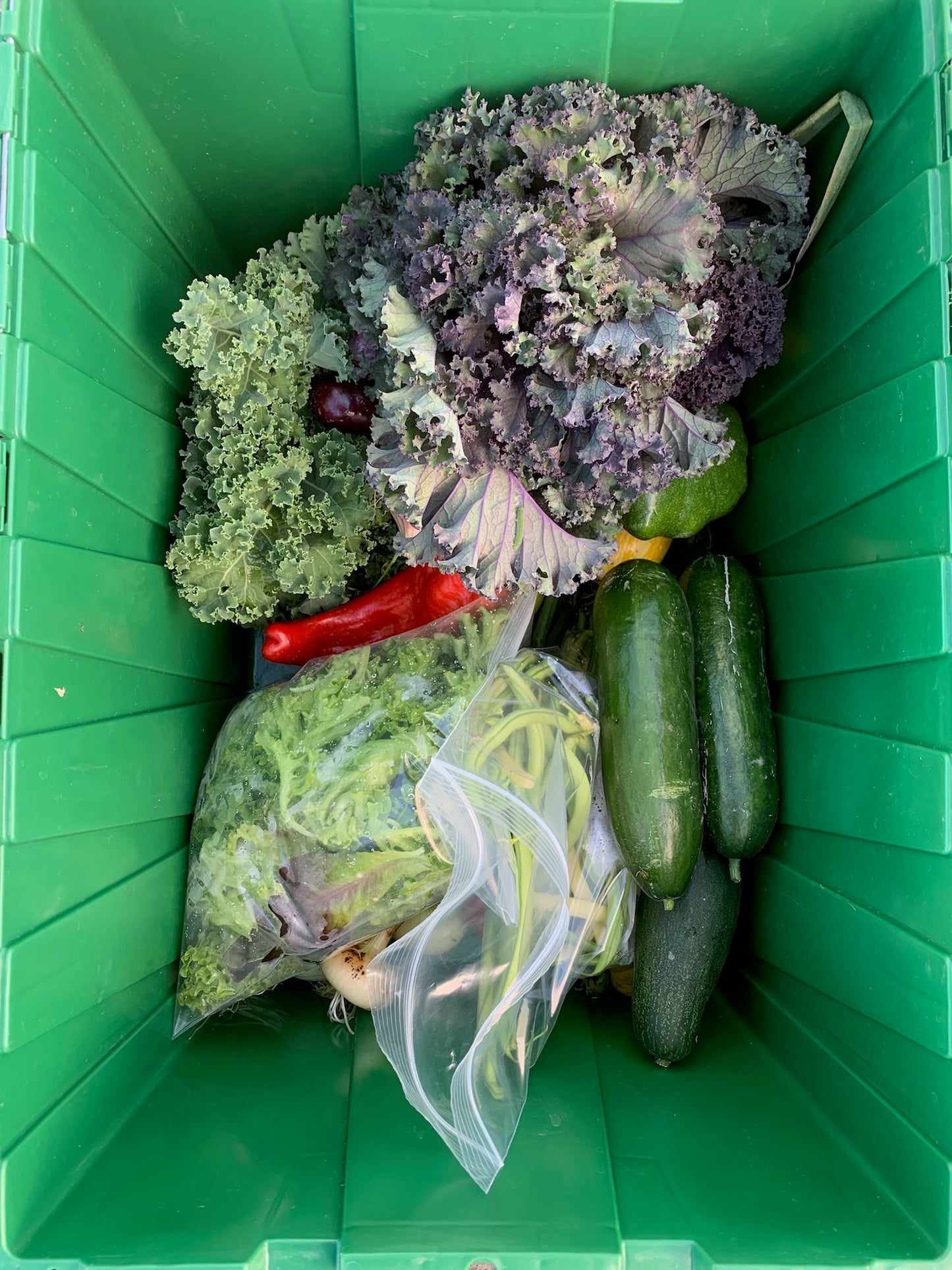 Help a neighbor - Small Share - payment plan