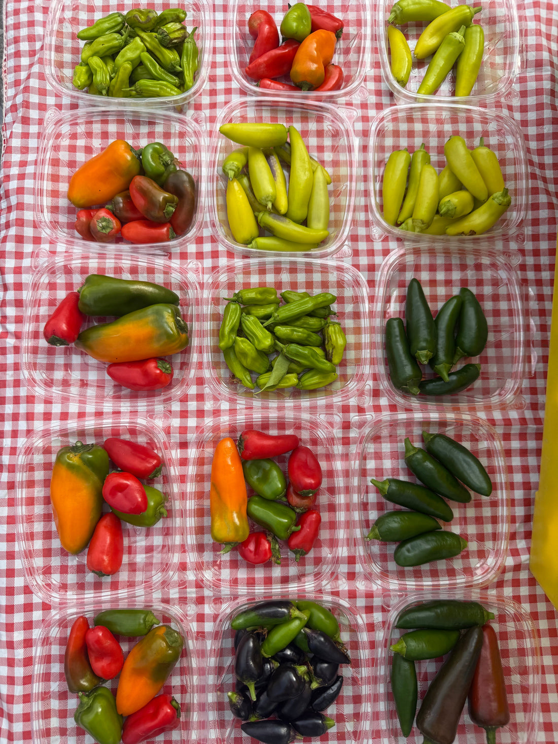 It's Week 10 Veggie Lovers!