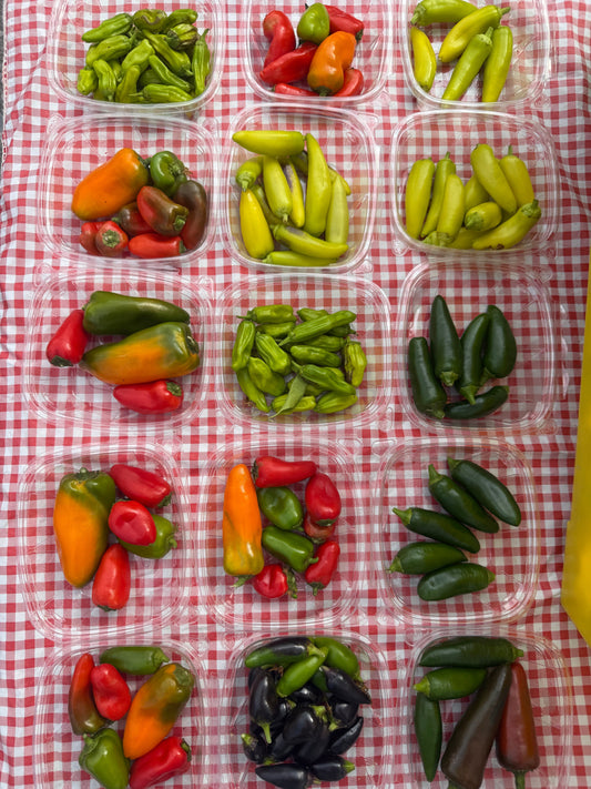 It's Week 10 Veggie Lovers!