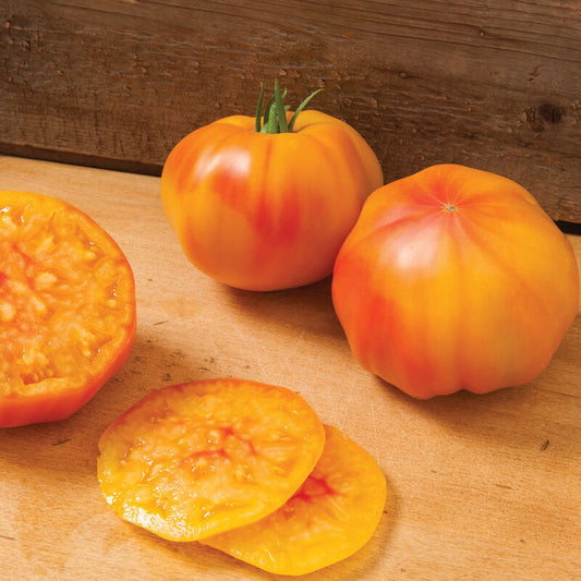 Margold Tomato Start