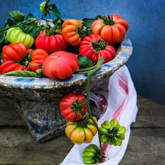 Mushroom Basket Tomato Start